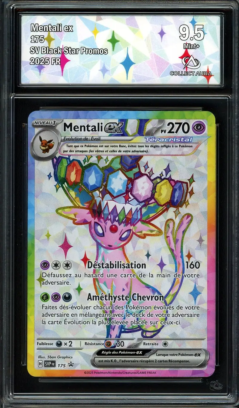 CA 9.5 Mentali Ex