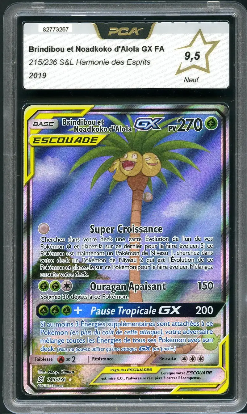 PCA 9.5 Brindibou et Noadkoko d’Alola Gx