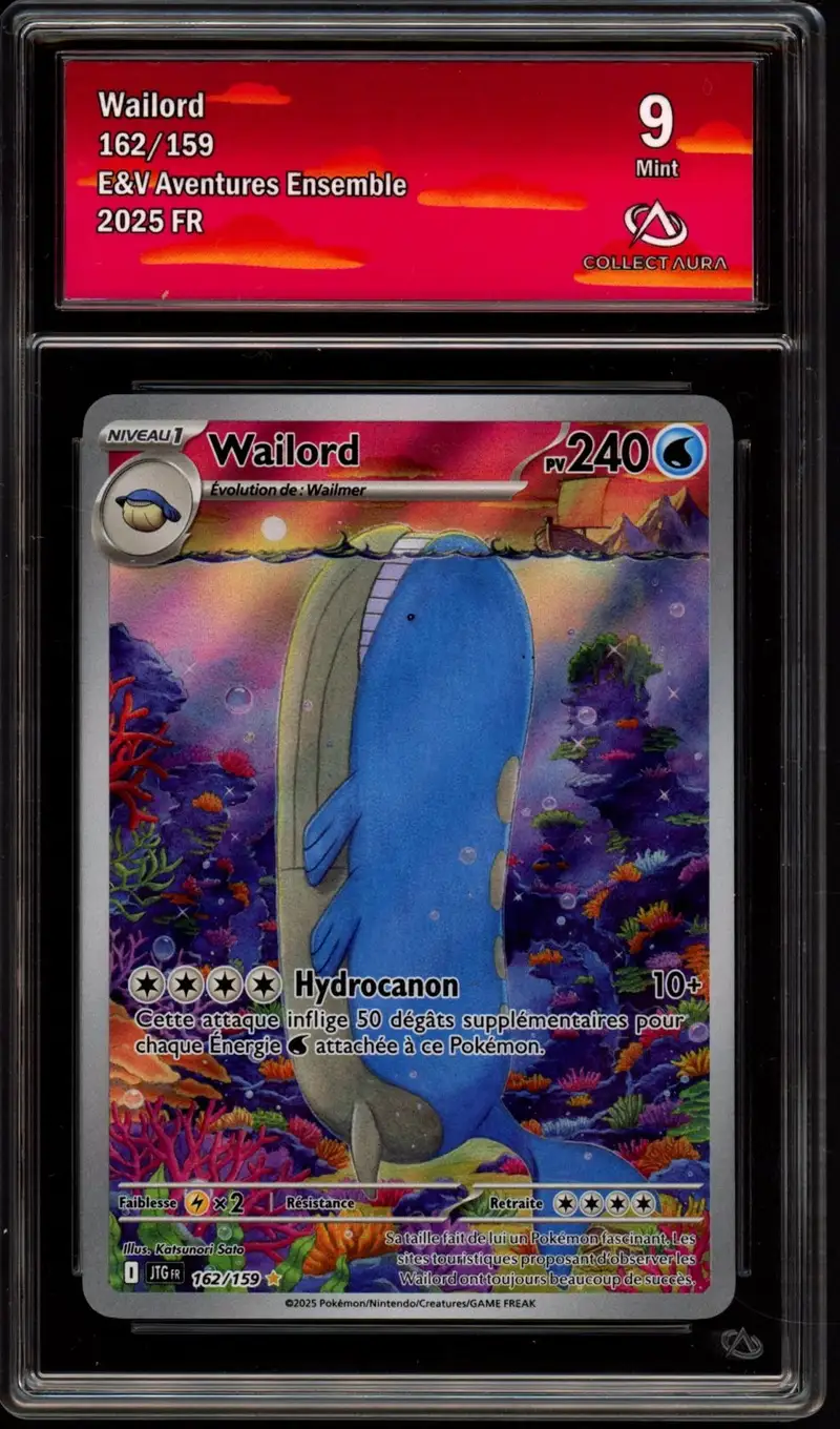 CA 9 Wailord