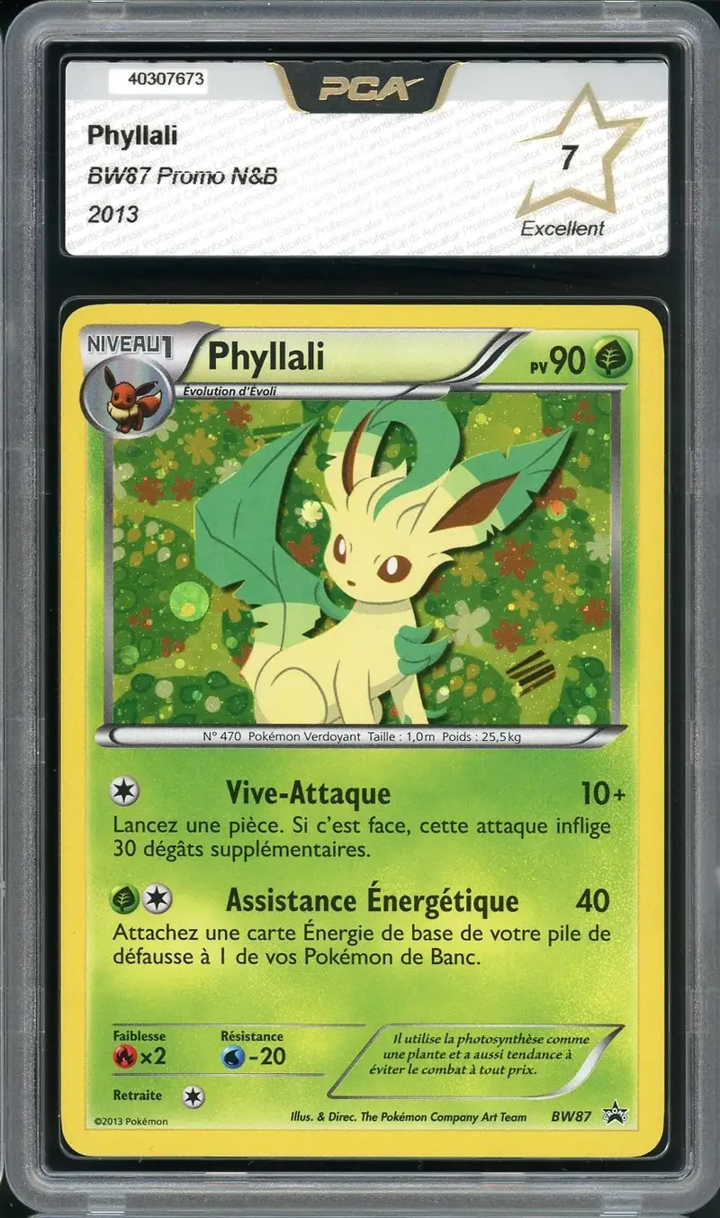 PCA 7 Phyllali Holo