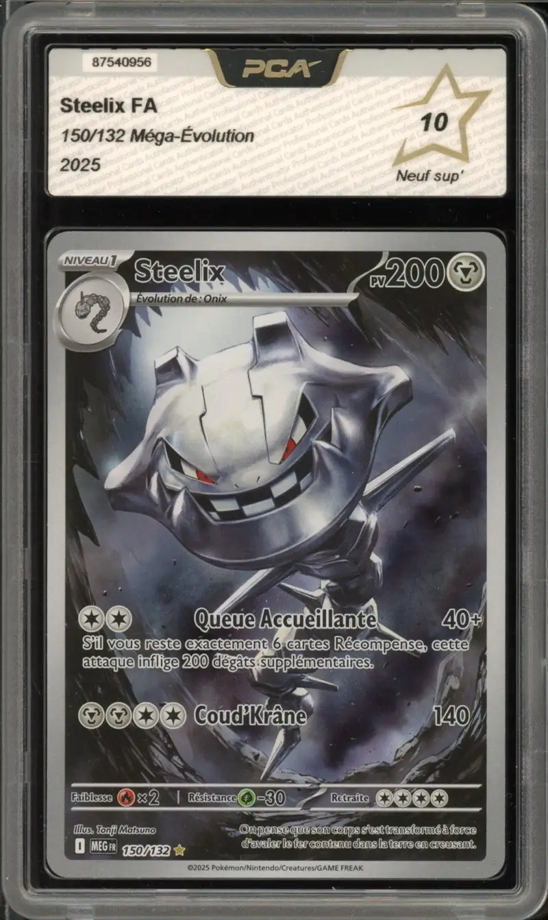 PCA 10 Steelix