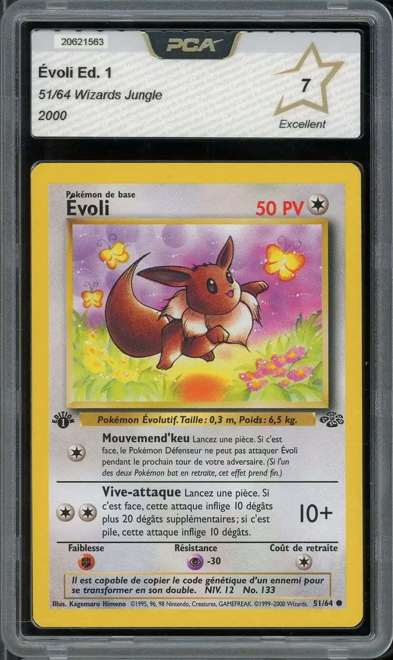 PCA 7 Evoli