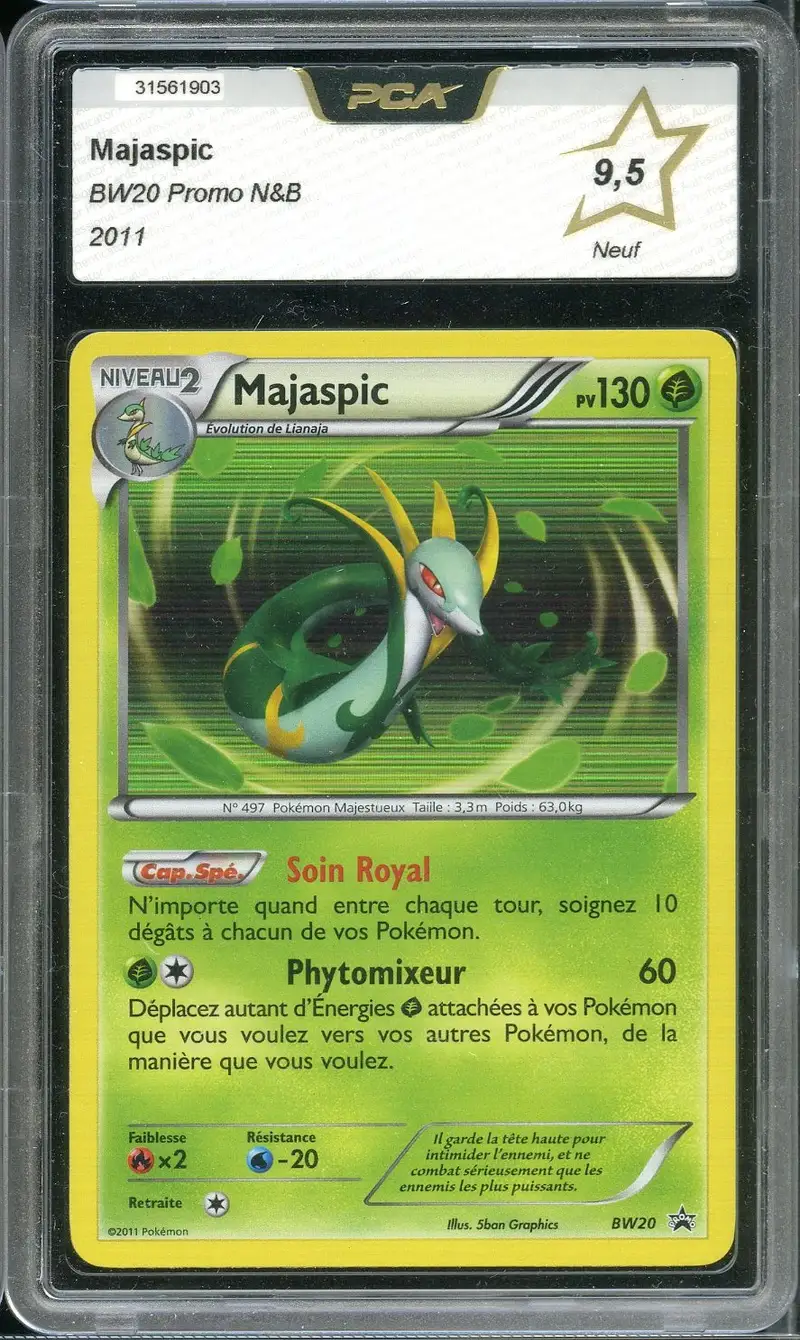 PCA 9.5 Majaspic Holo