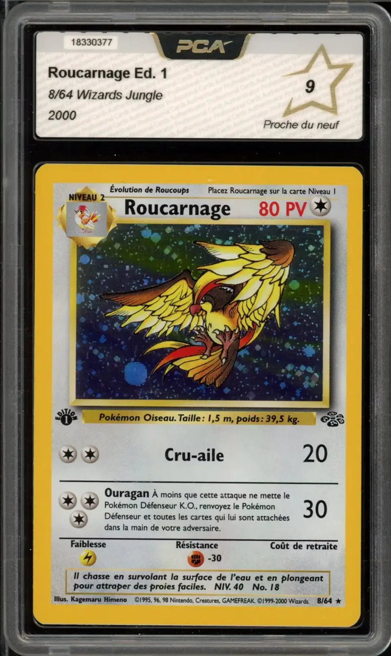 PCA 9 Roucarnage Holo