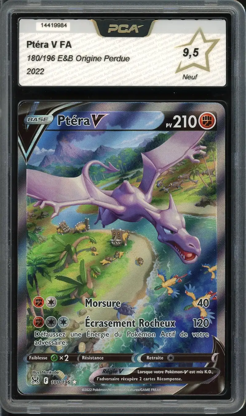 PCA 9.5 Ptéra V
