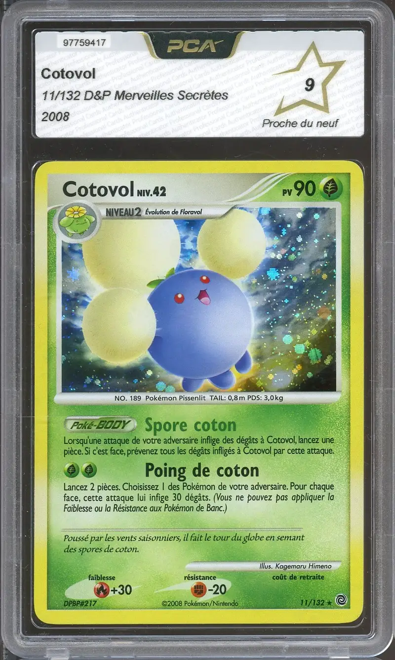 PCA 9 Cotovol Holo