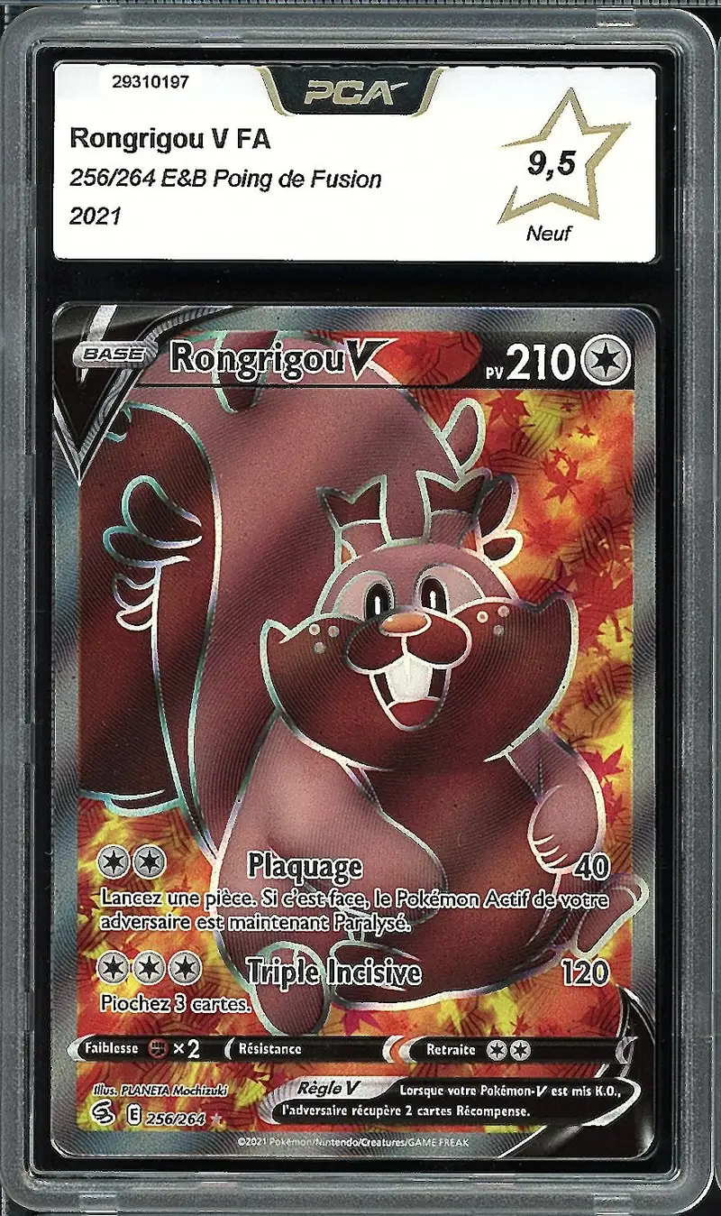 PCA 9.5 Rongrigou V