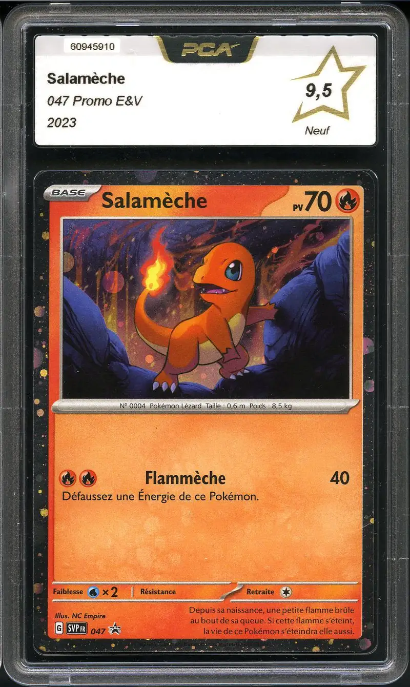 PCA 9.5 Salamèche Holo