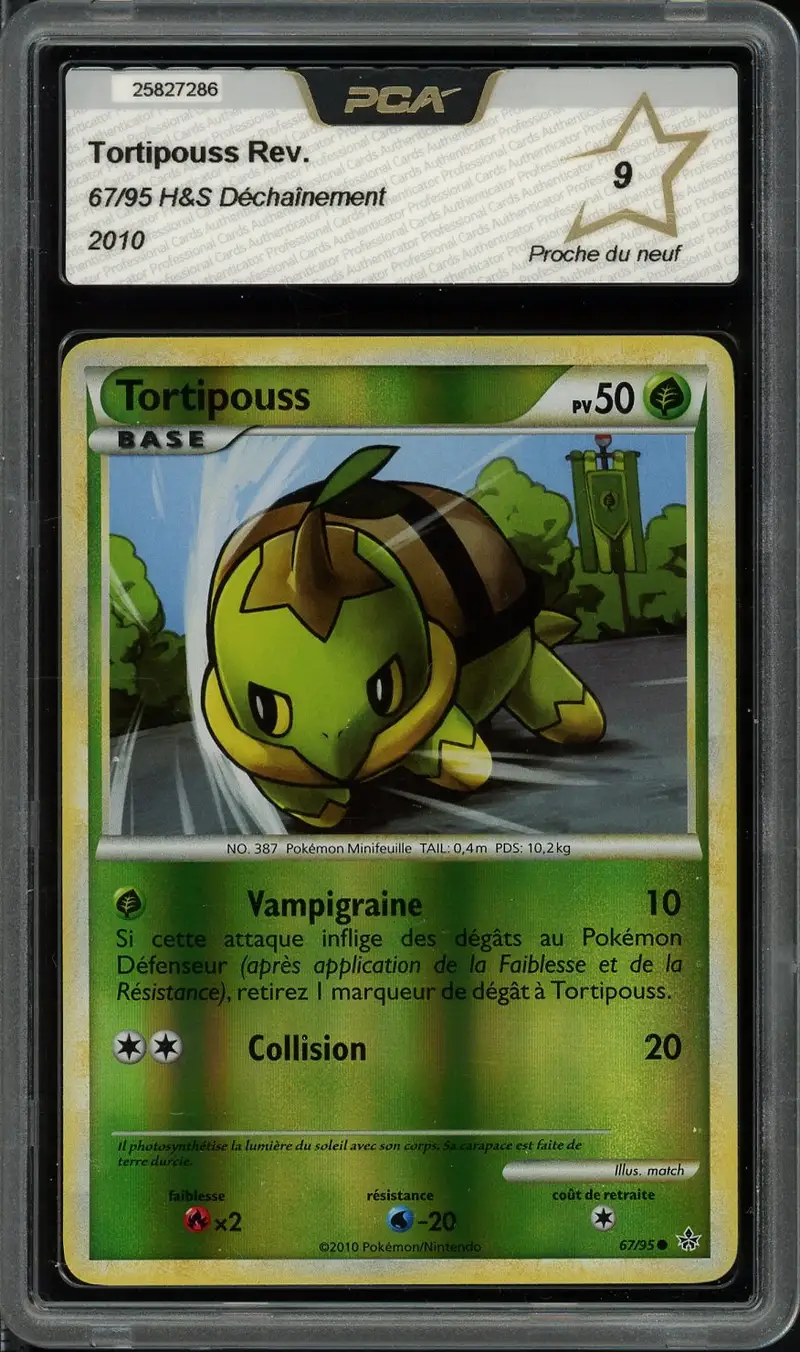 PCA 9 Tortipouss Reverse