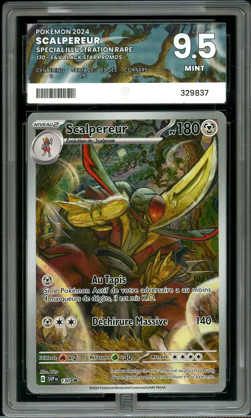 PG 9.5 Scalpereur
