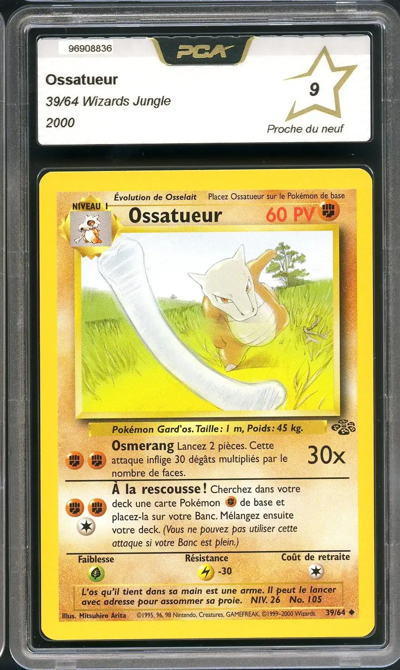 PCA 9 Ossatueur