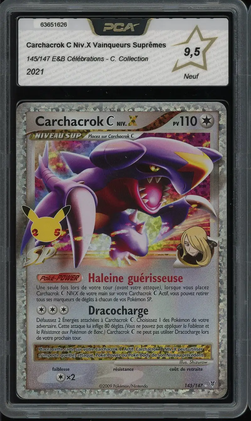 PCA 9.5 Carchacrok C Niv. X