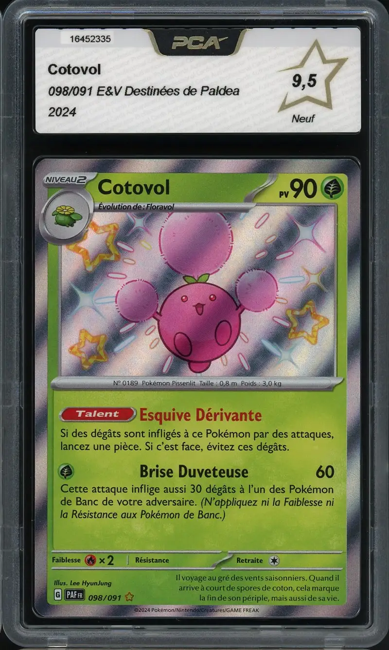 PCA 9.5 Cotovol Shiny