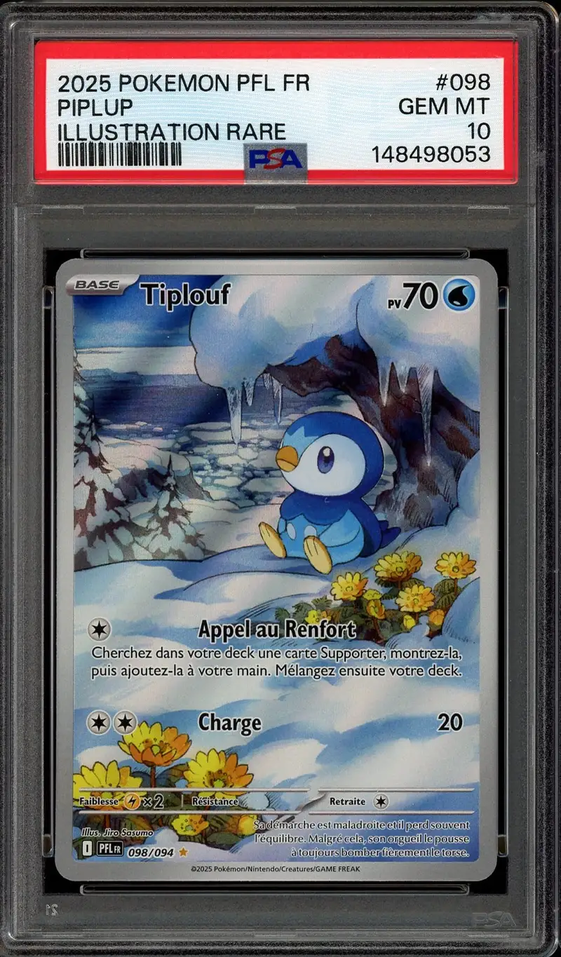 PSA 10 Tiplouf