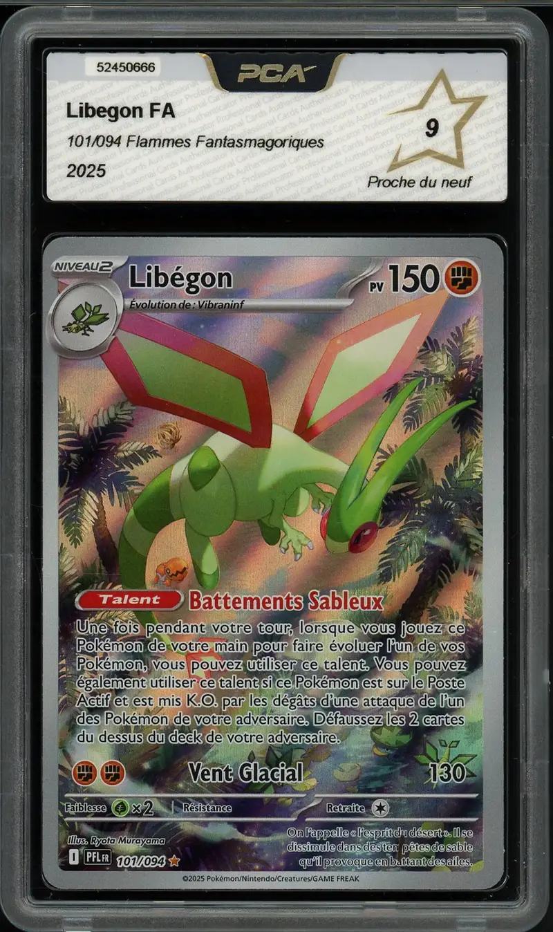 PCA 9 Libegon