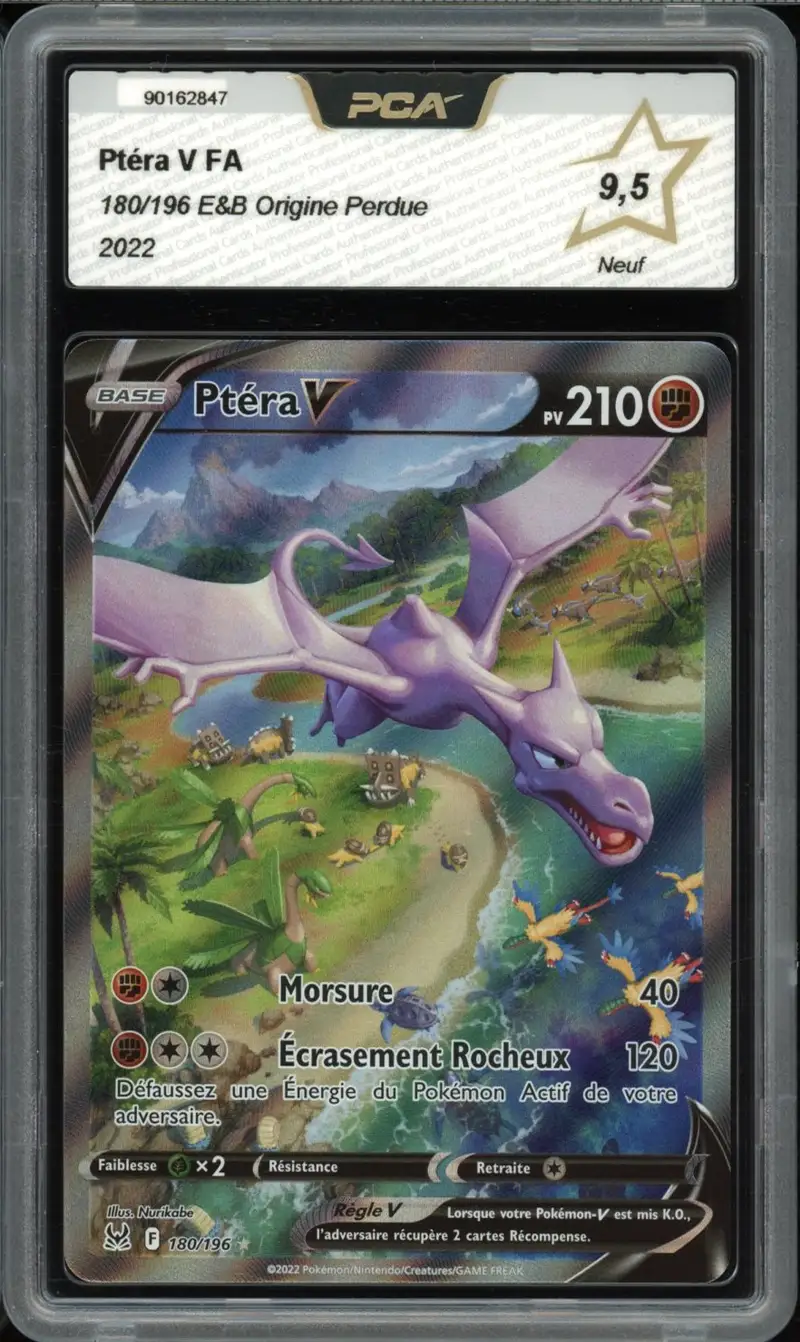 PCA 9.5 Ptéra V