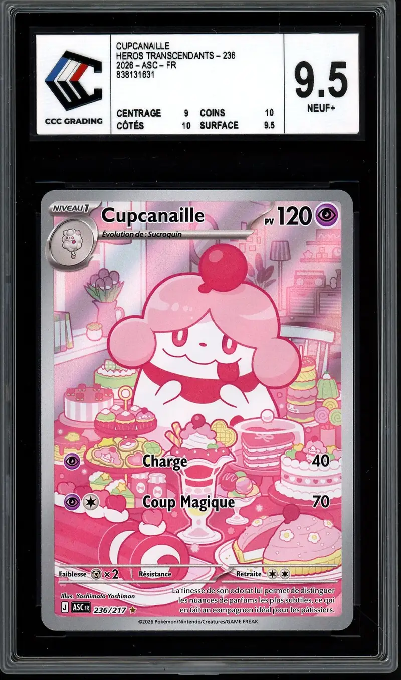 CCC 9.5 Cupcanaille