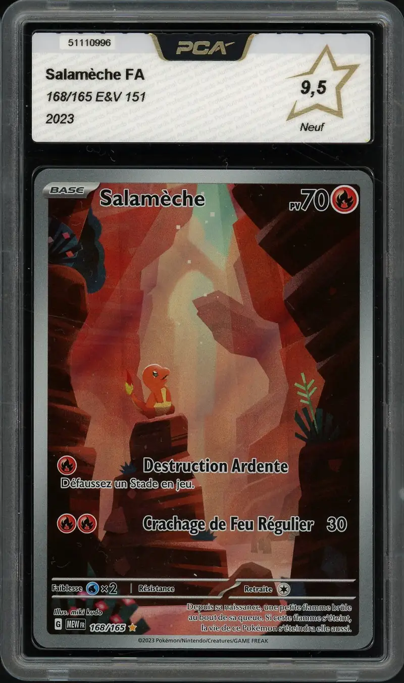 PCA 9.5 Salamèche