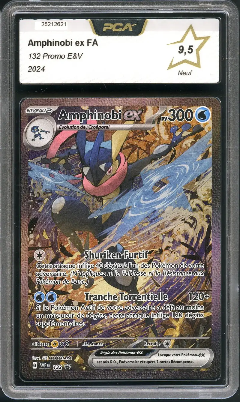 PCA 9.5 Amphinobi Ex
