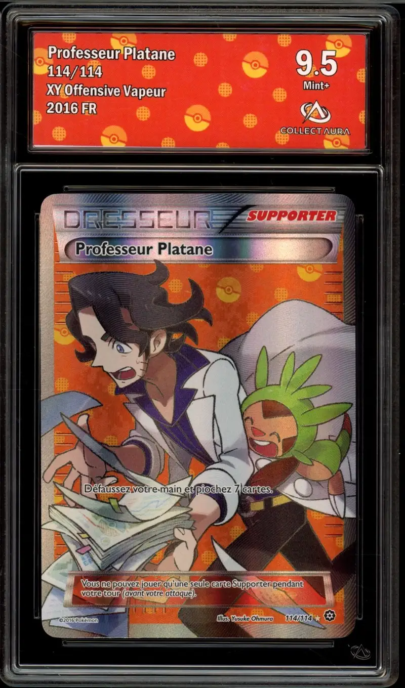 CA 9.5 Professeur Platane