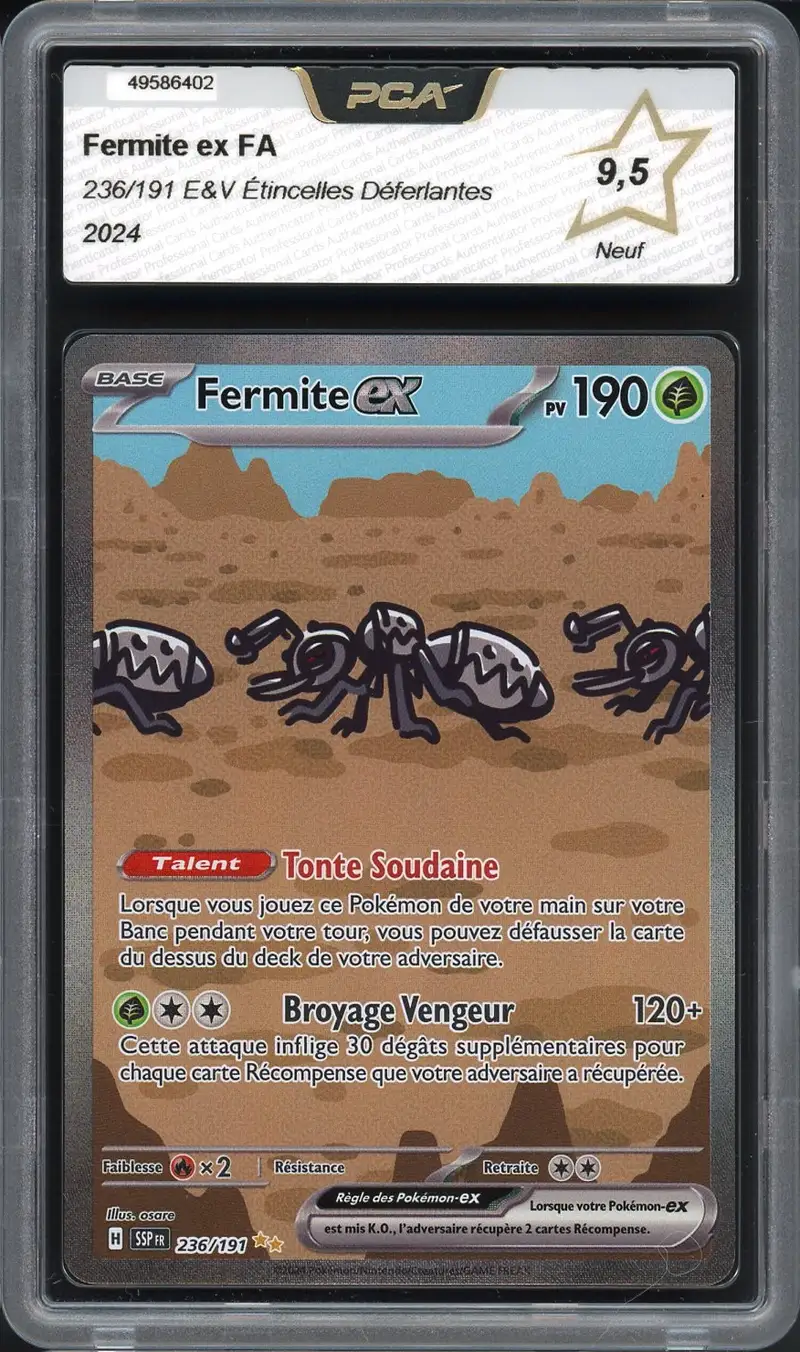 PCA 9.5 Fermite Ex