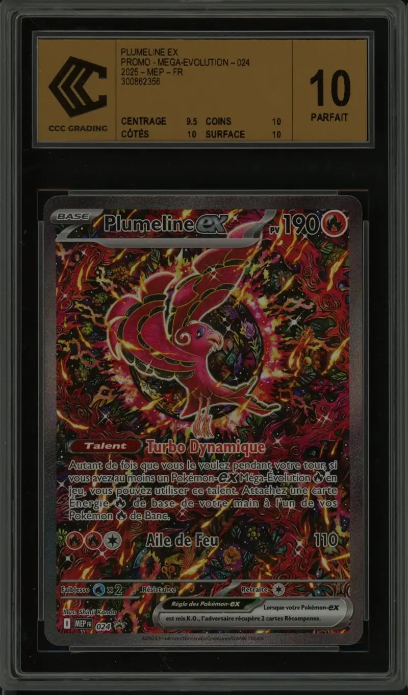 CCC 10 Plumeline Ex
