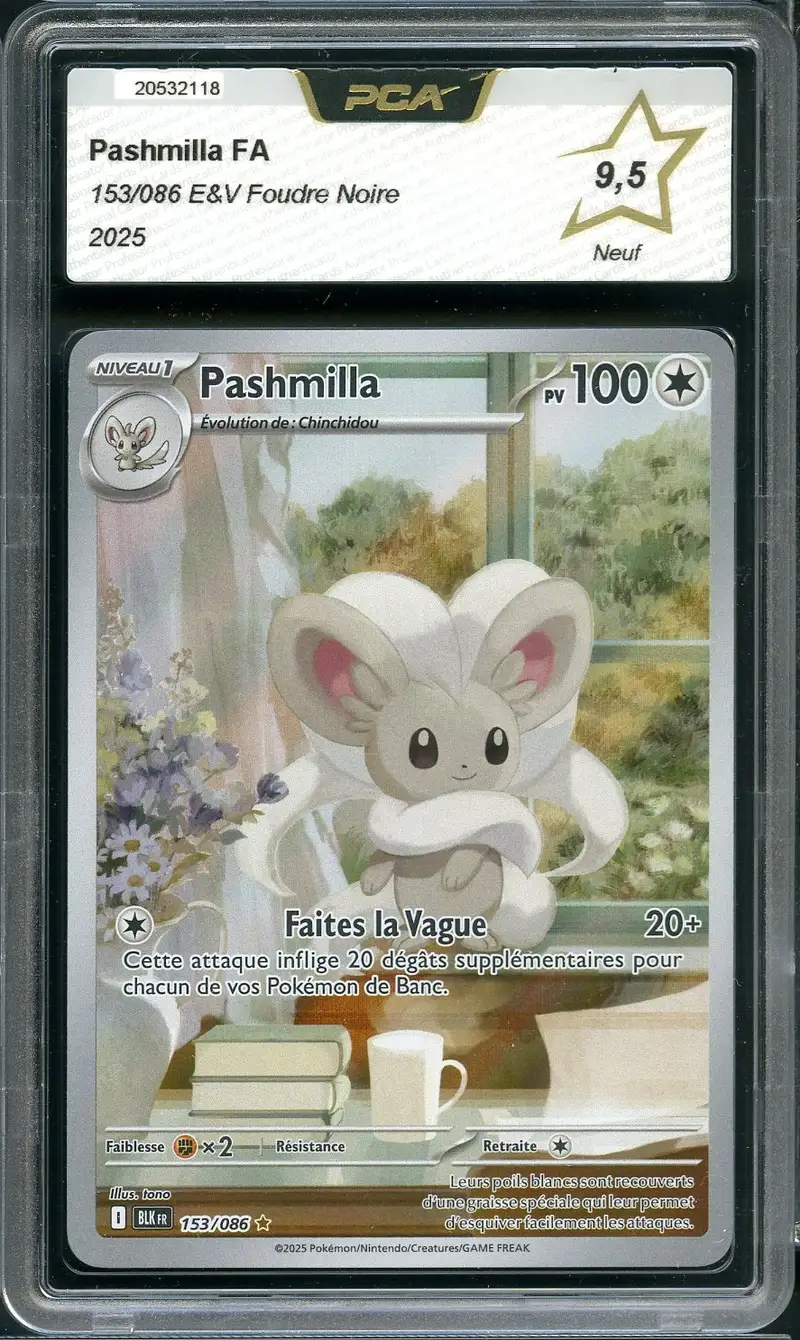 PCA 9.5 Pashmilla