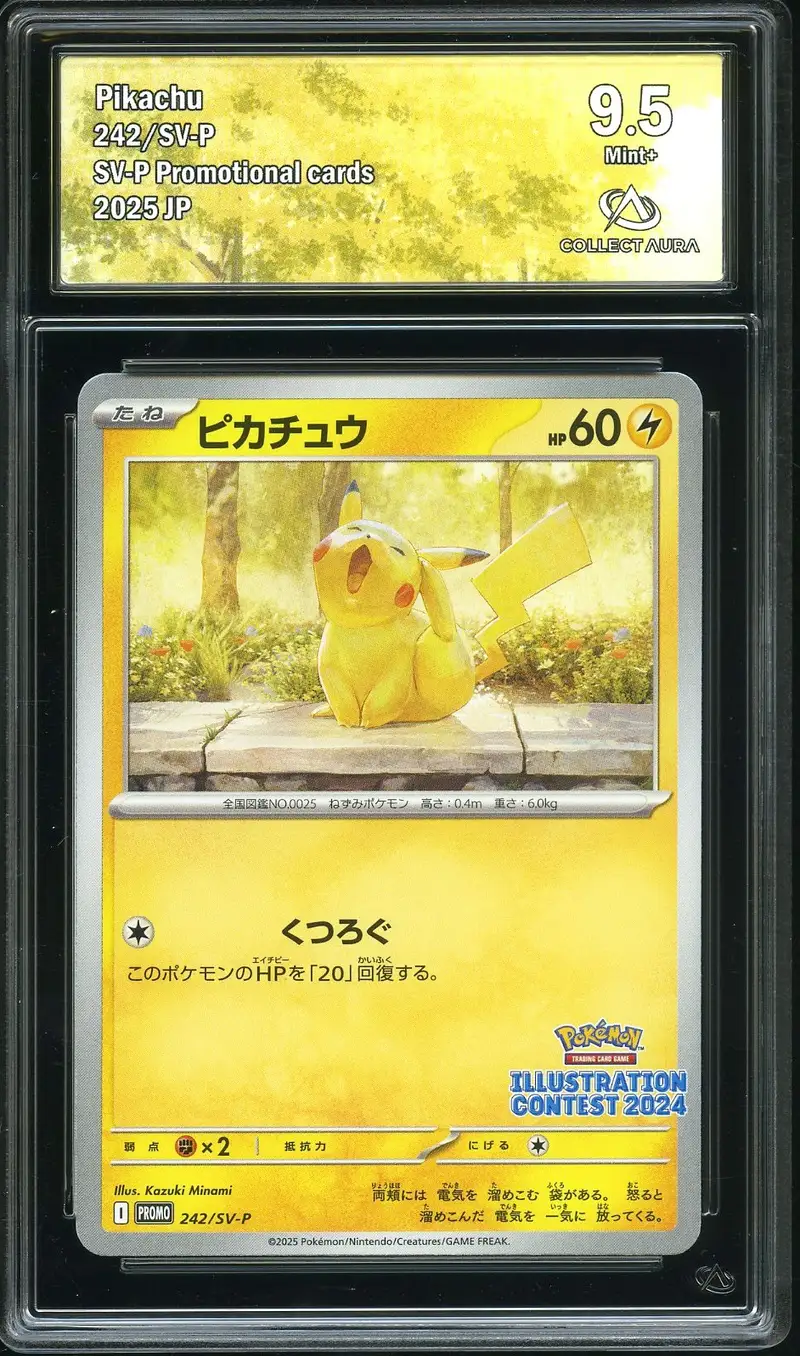 CA 9.5 Pikachu