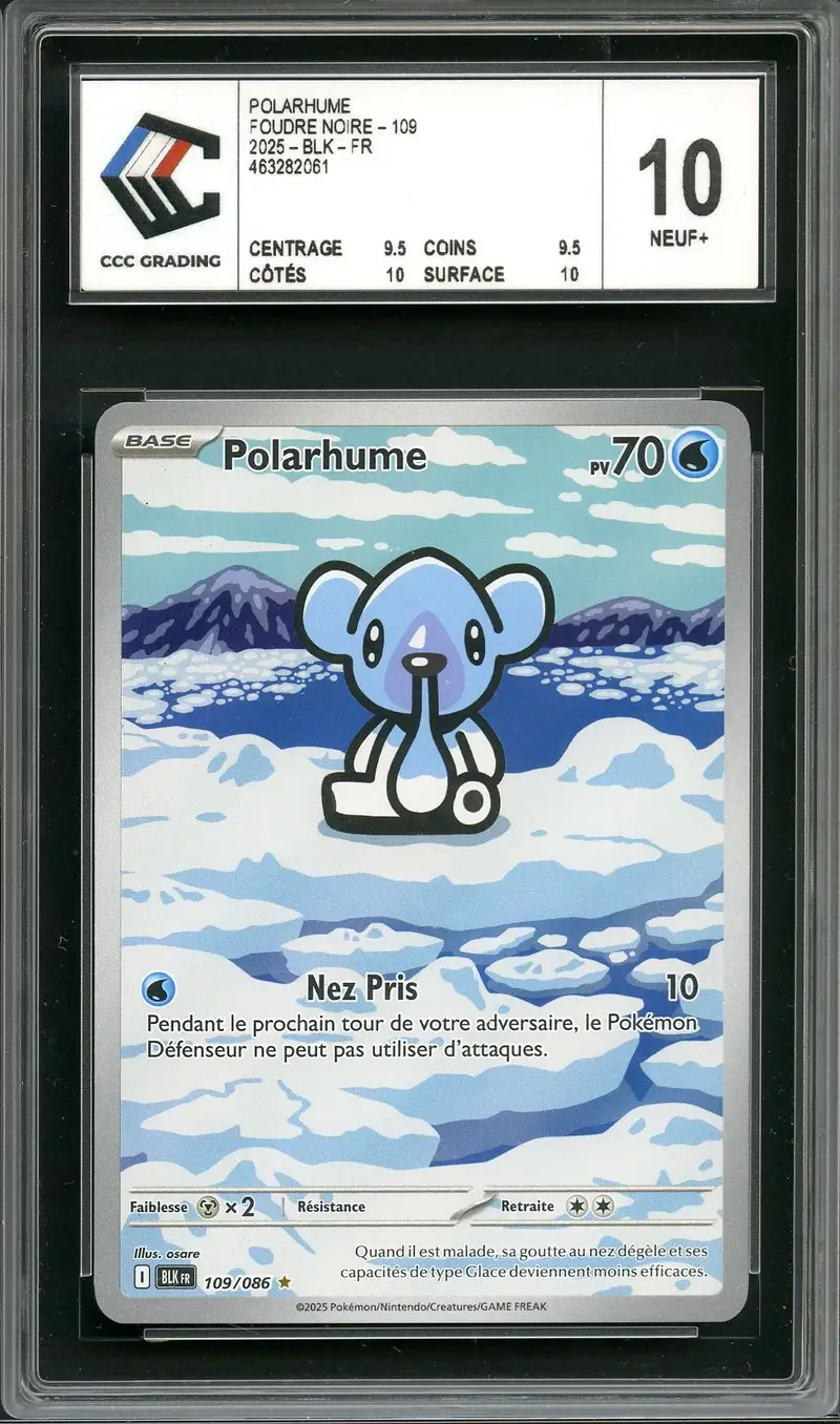 CCC 10 Polarhume
