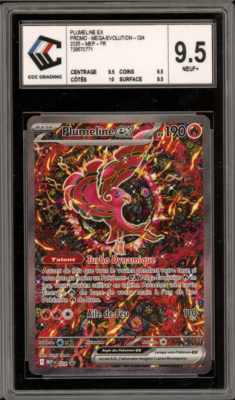 CCC 9.5 Plumeline Ex