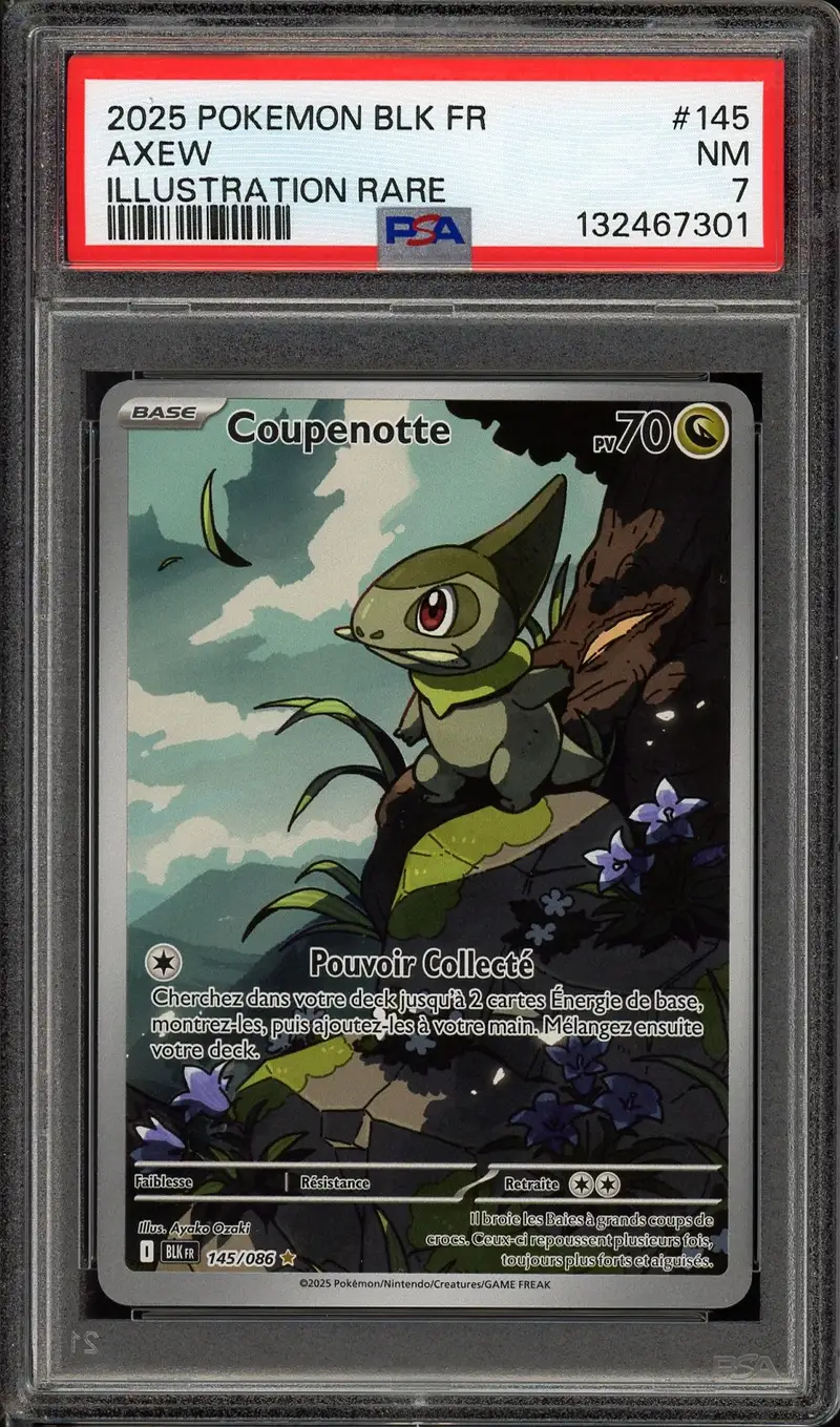PSA 7 Coupenotte