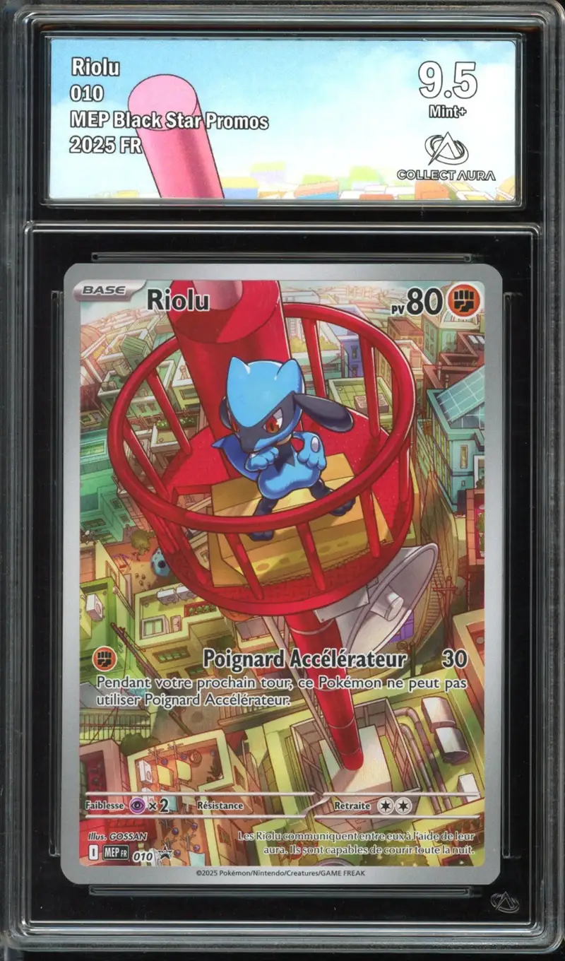 CA 9.5 Riolu