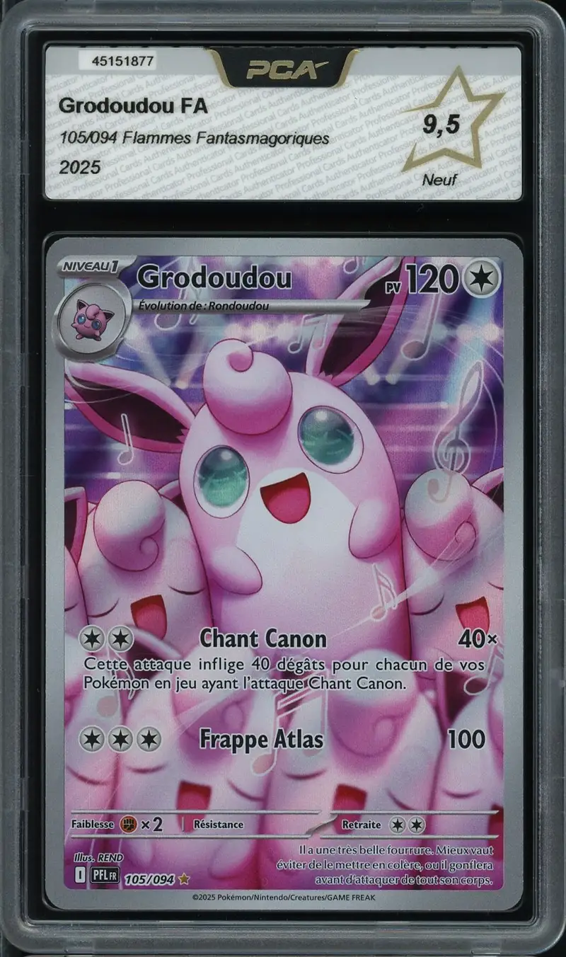 PCA 9.5 Grodoudou