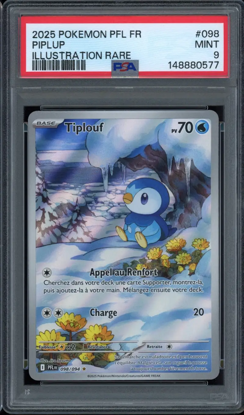 PSA 9 Tiplouf