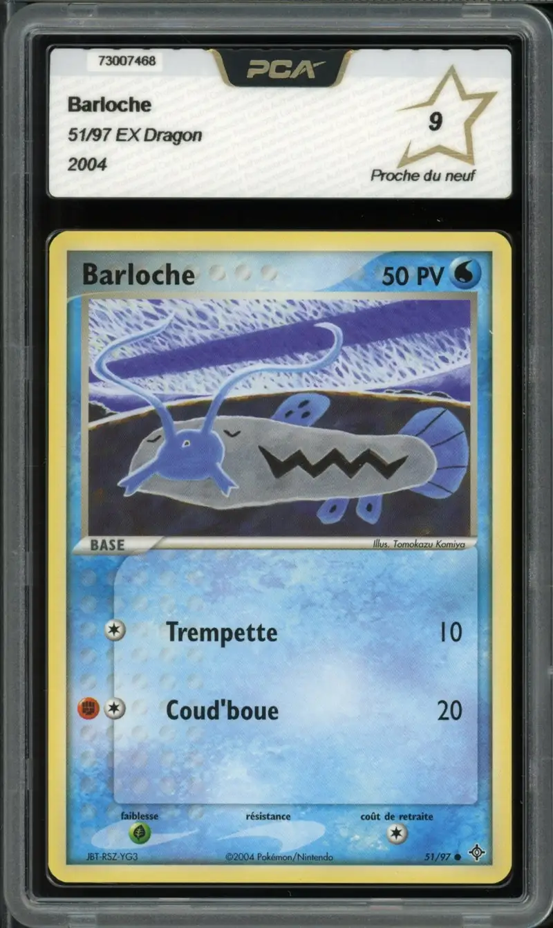 PCA 9 Barloche