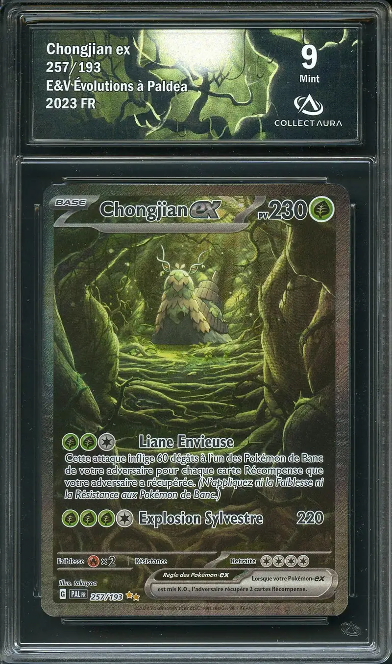 CA 9 Chongjian Ex