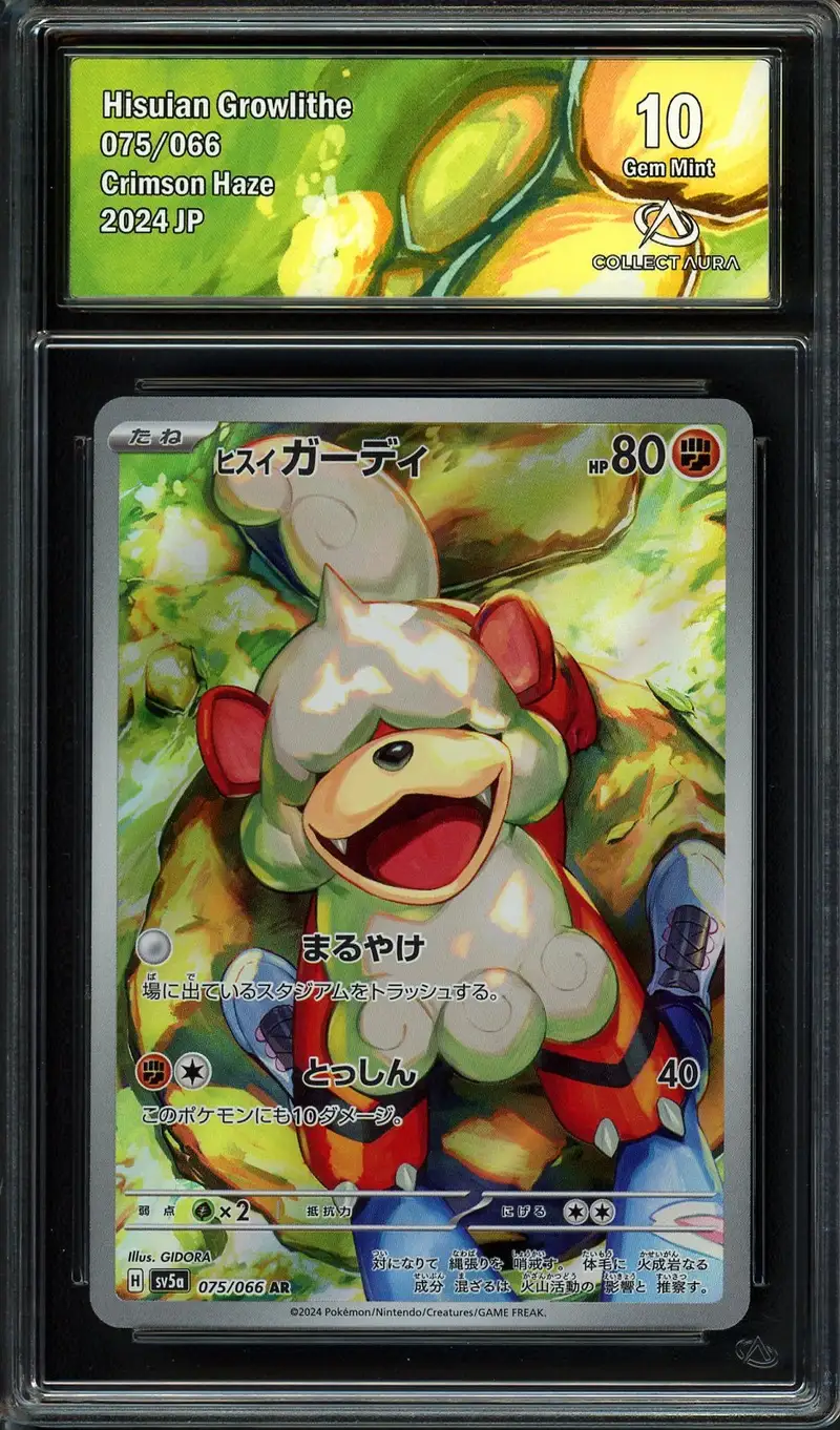 CA 10 Hisuan Growlithe