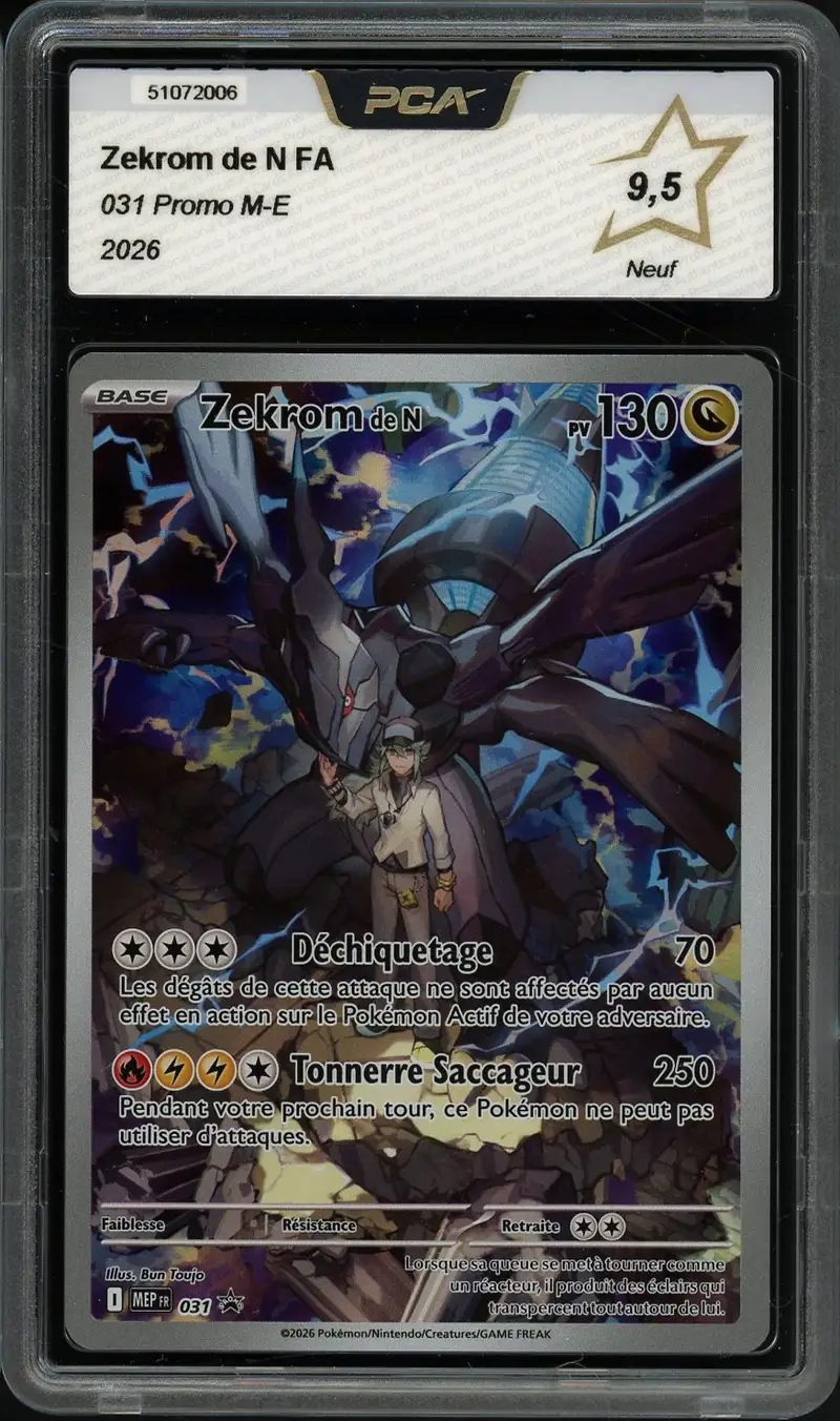 PCA 9.5 Zekrom de N