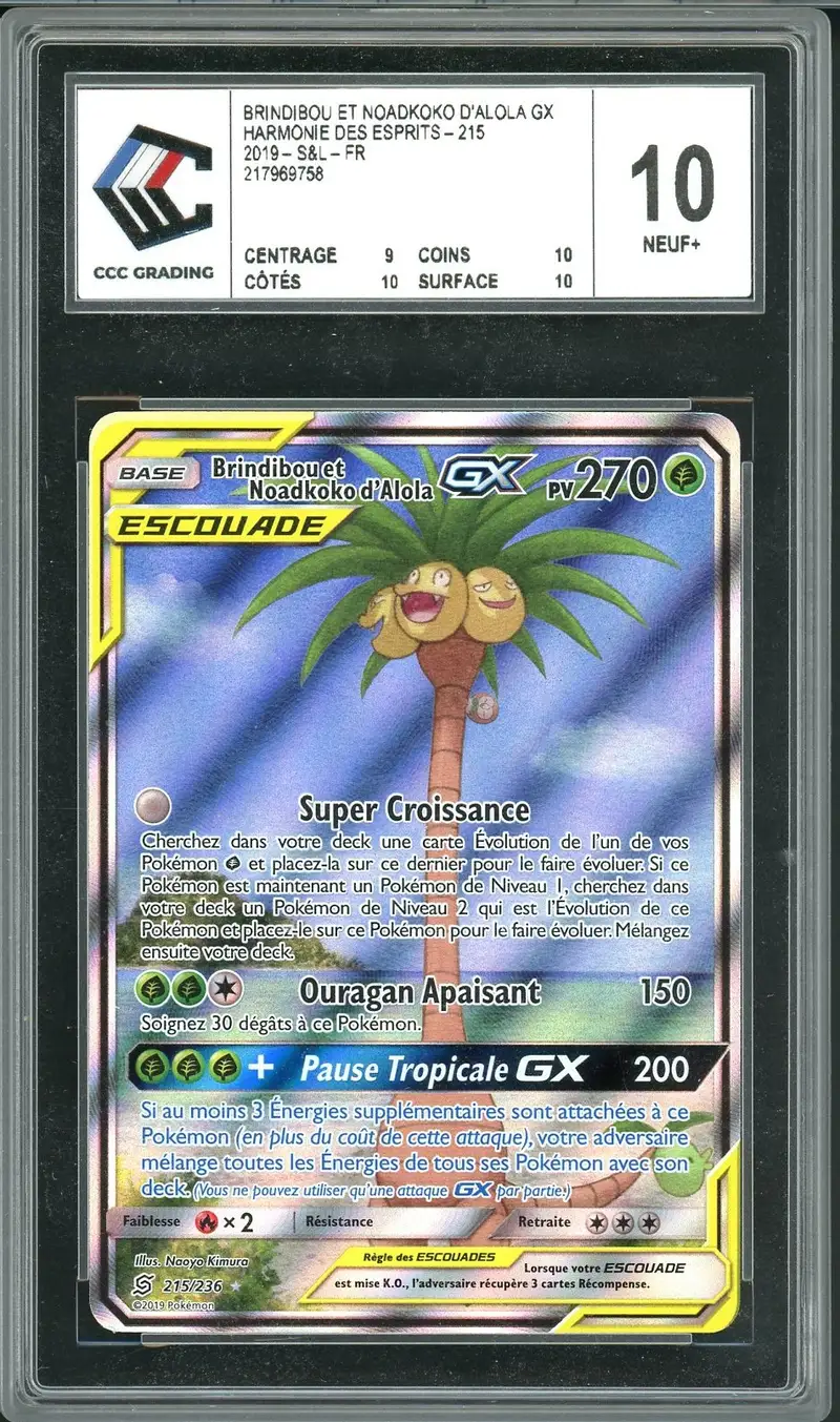 CCC 10 Brindibou et Noadkoko d’Alola Gx