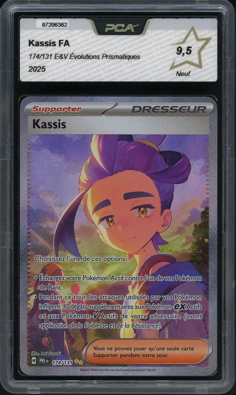 PCA 9.5 Kassis