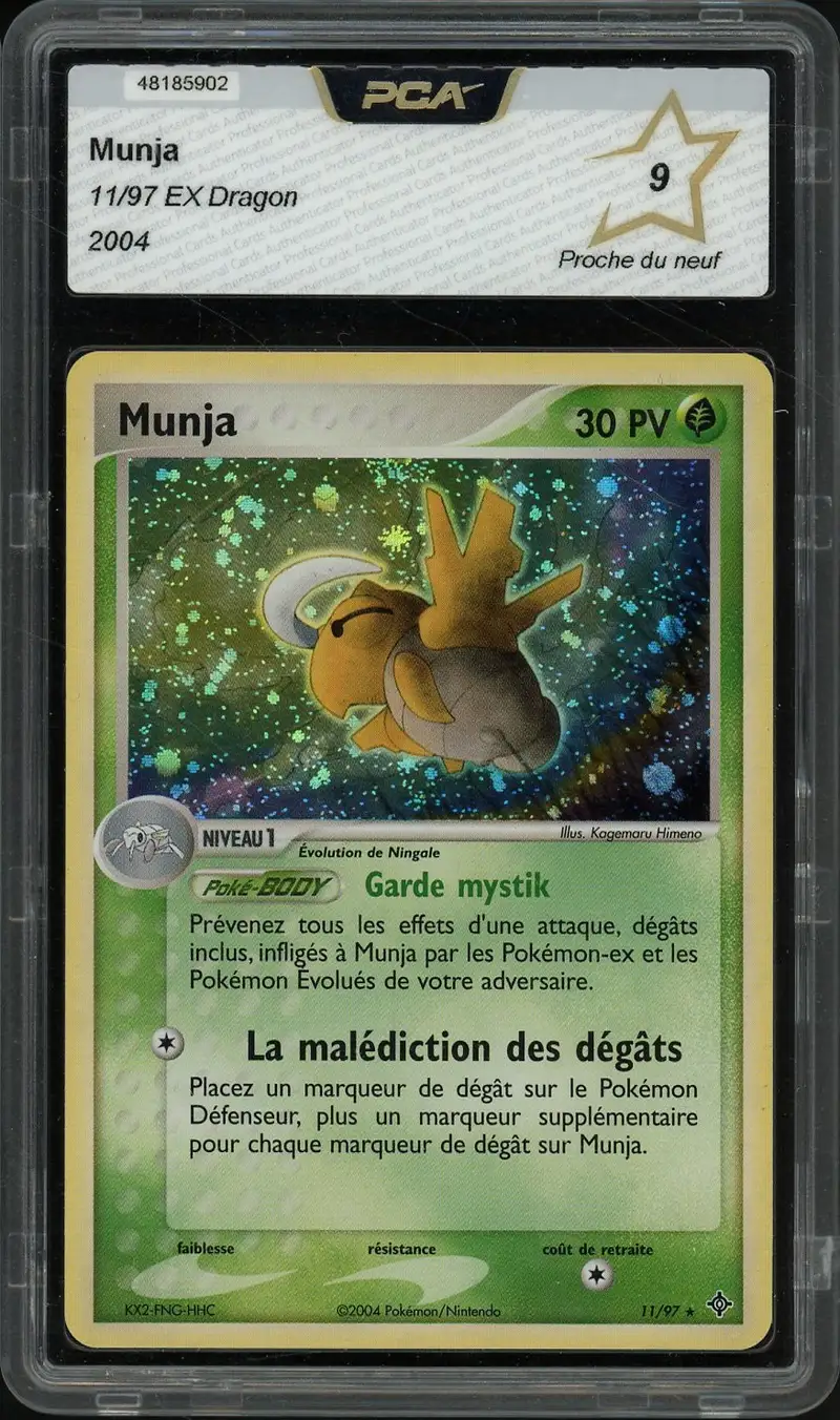 PCA 9 Munja Holo