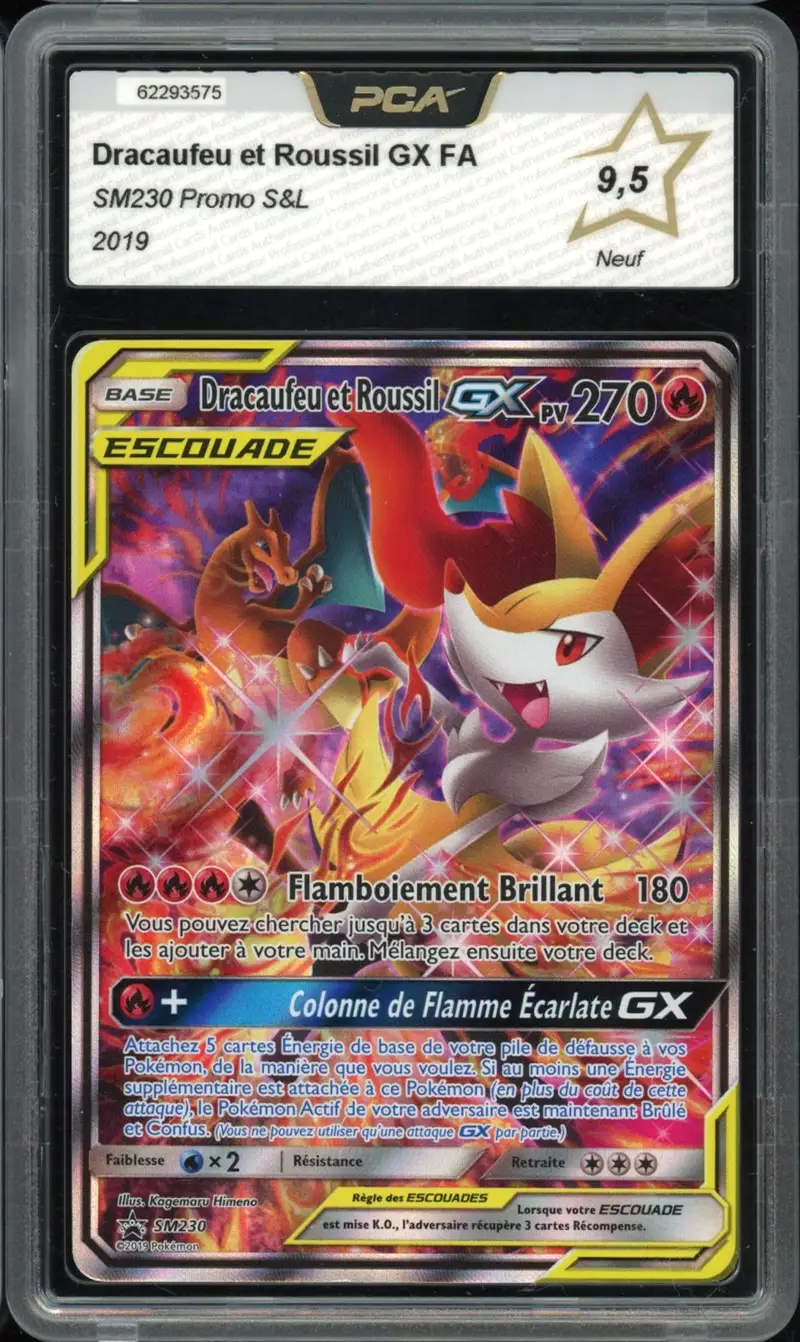 PCA 9.5 Dracaufeu et Roussil Gx