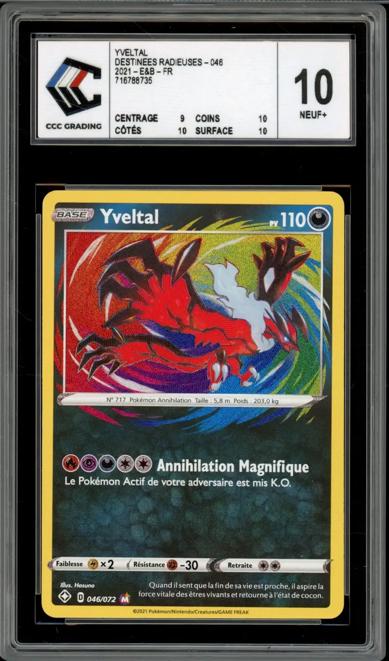 CCC 10 Yveltal Holo