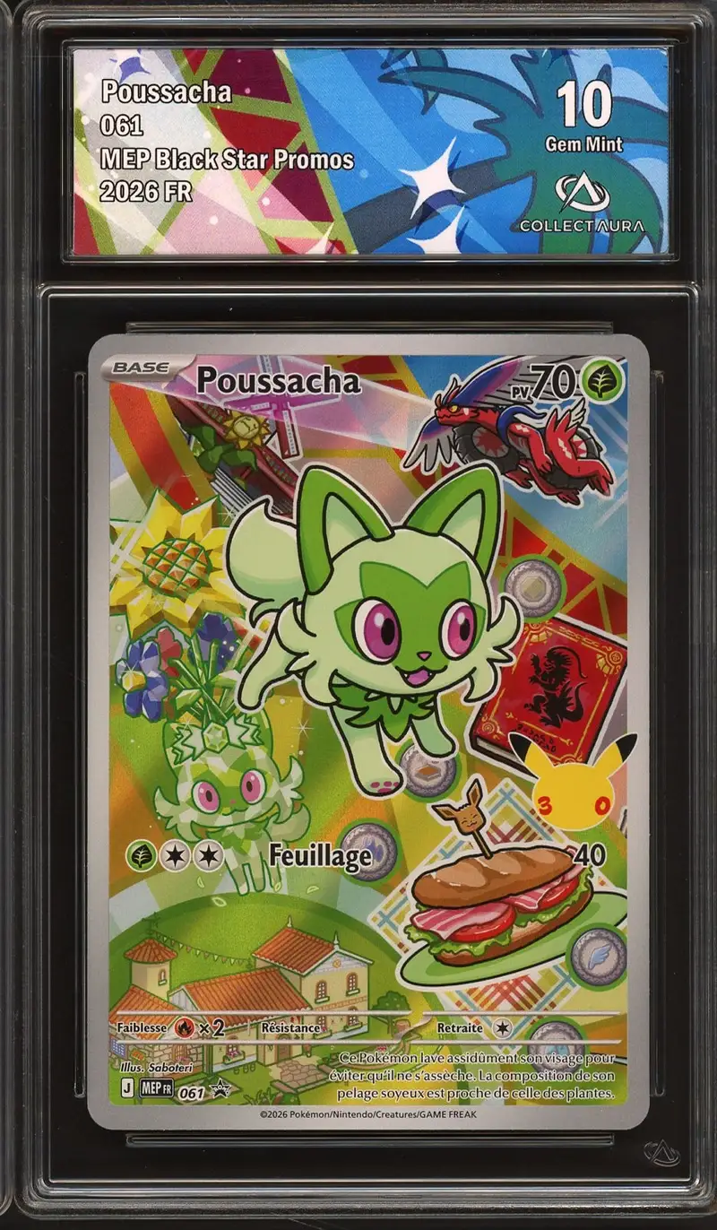 CA 10 Poussacha