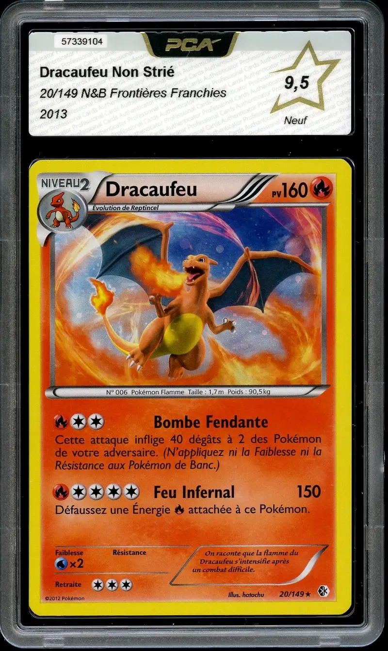 PCA 9.5 Dracaufeu Holo