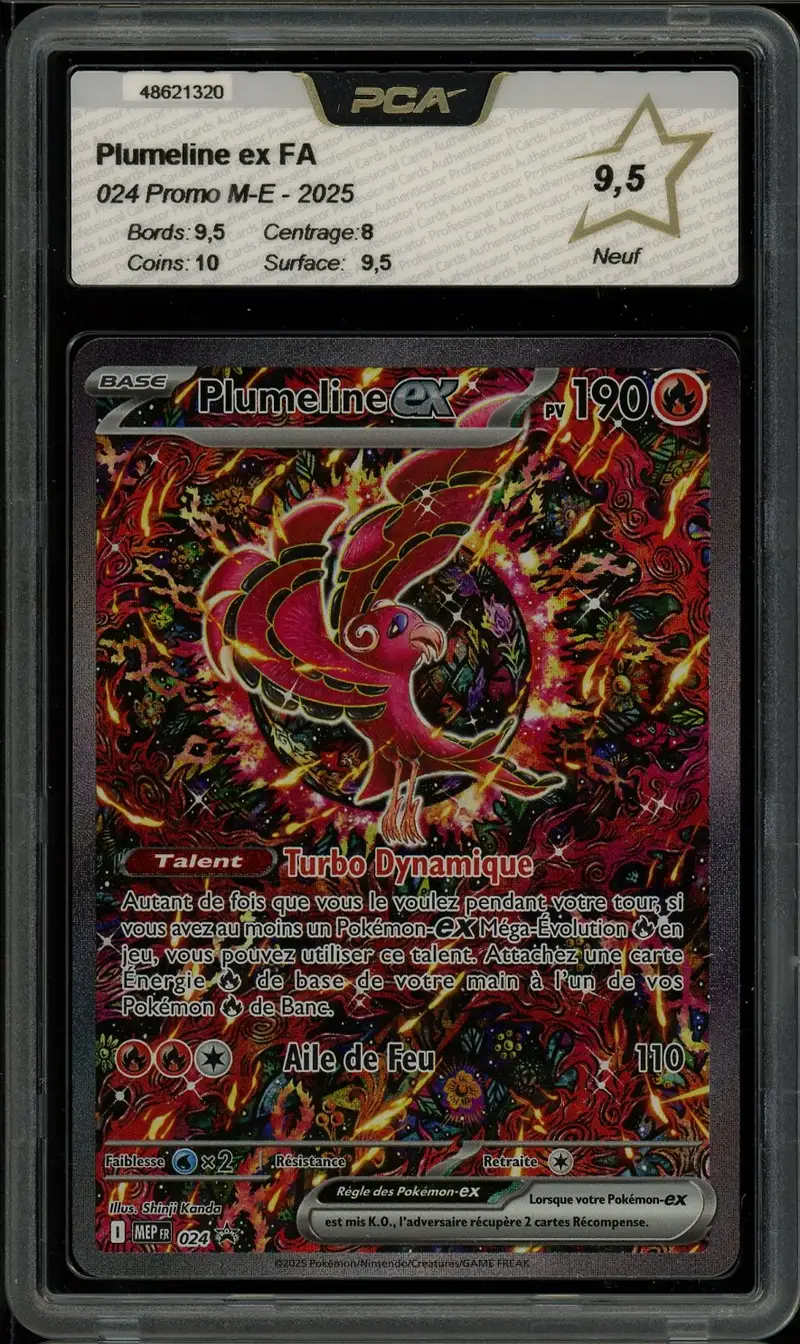 PCA 9.5 Plumeline Ex