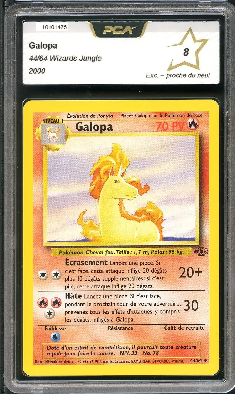PCA 8 Galopa