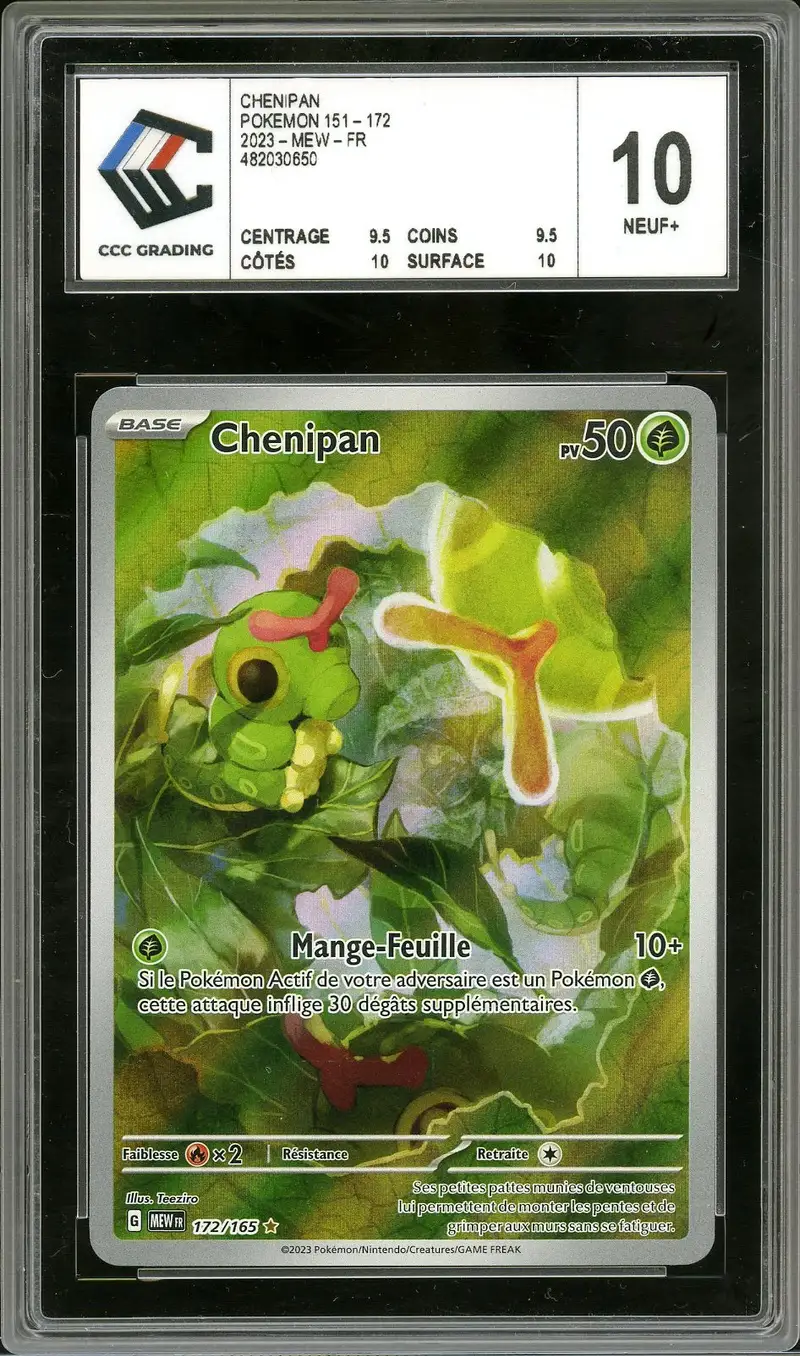CCC 10 Chenipan