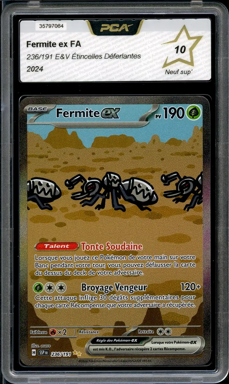 PCA 10 Fermite Ex