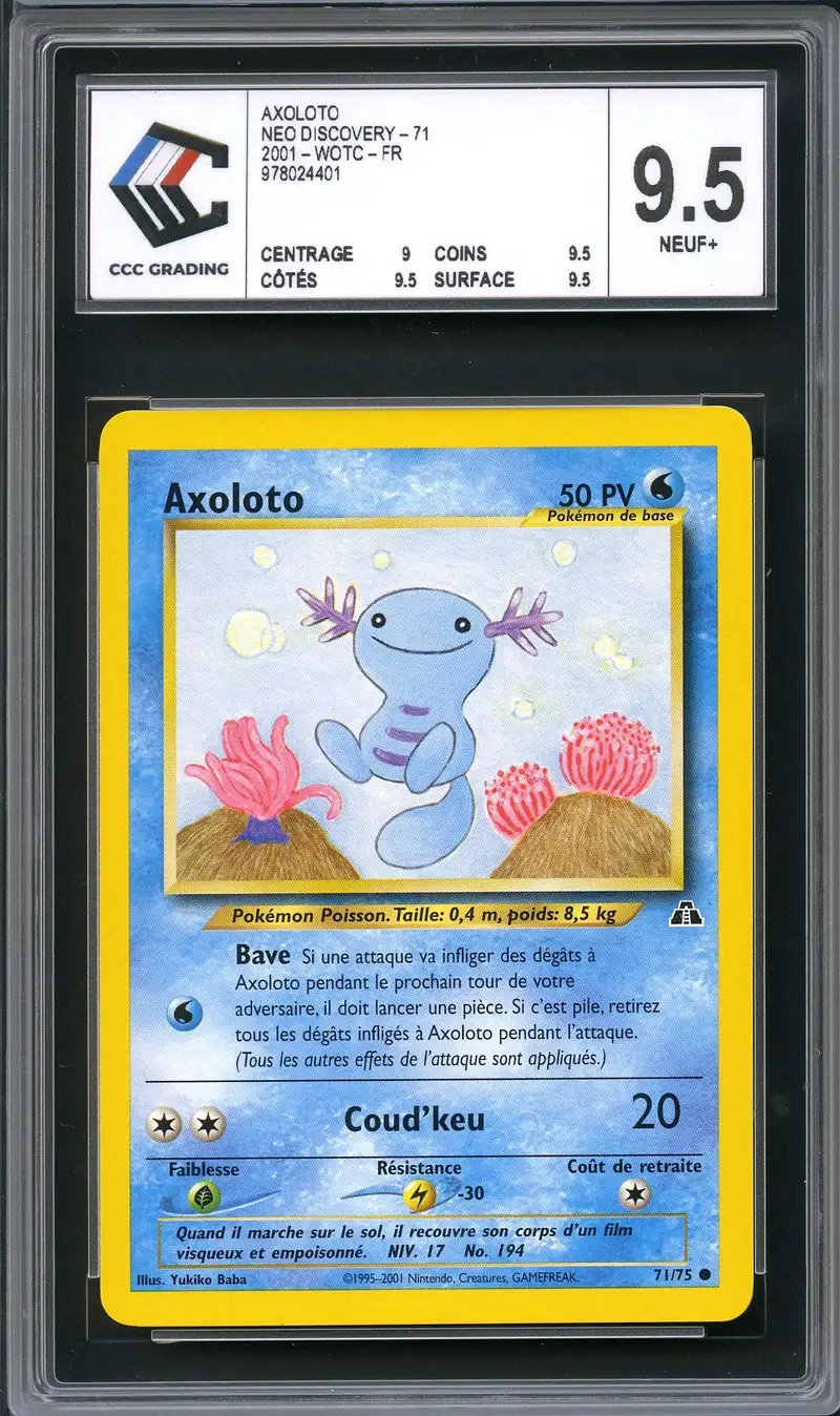 CCC 9.5 Axoloto